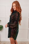 Shimmering Splendor Sequin Shirt Dress